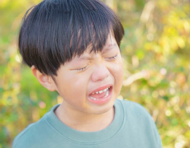 【体験談】5歳の子どもが泣くと長い！思い通りにならないと泣く子への対処法