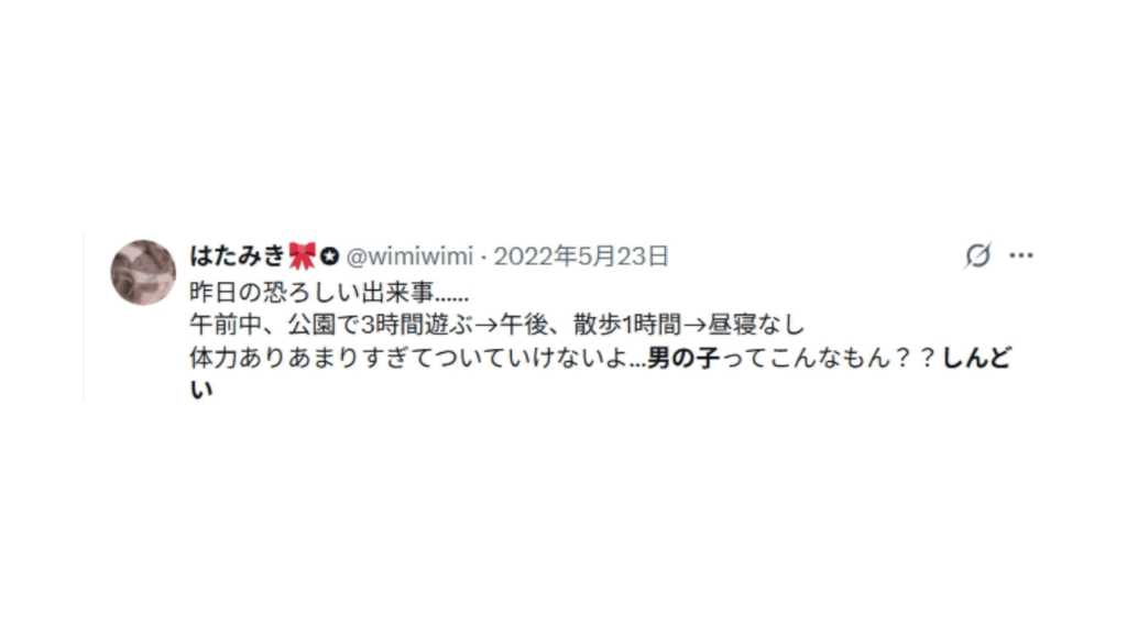 男の子育児しんどいというママの投稿