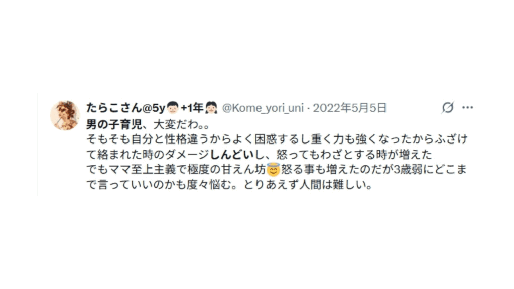 男の子育児しんどいというママの投稿