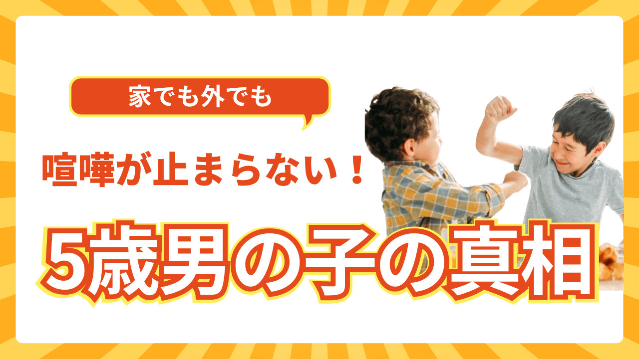 【実体験】5歳男の子の喧嘩が止まらない！家でも外でも繰り広げるトラブルの真相