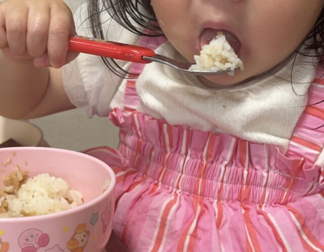 【乳幼児食指導士伝授】1歳ご飯食べない時の対応ベスト5&おすすめのメニュー5選!