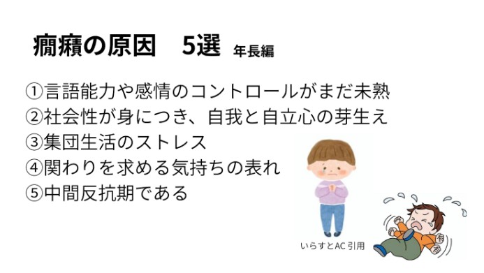 【経験談】５歳（年長）の癇癪が酷くて疲れた､､､原因5選と私の対応