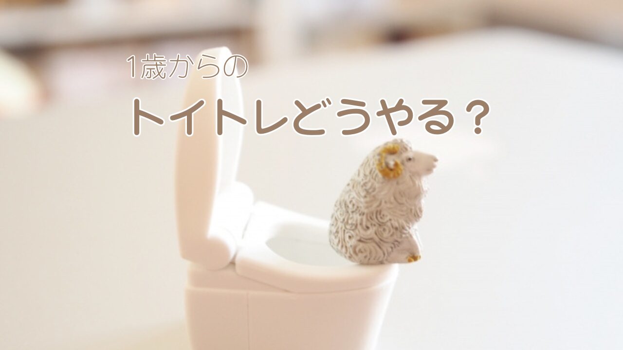 【1歳】トイトレやり方ガイド！早すぎ？補助便座は？疑問全部解決！