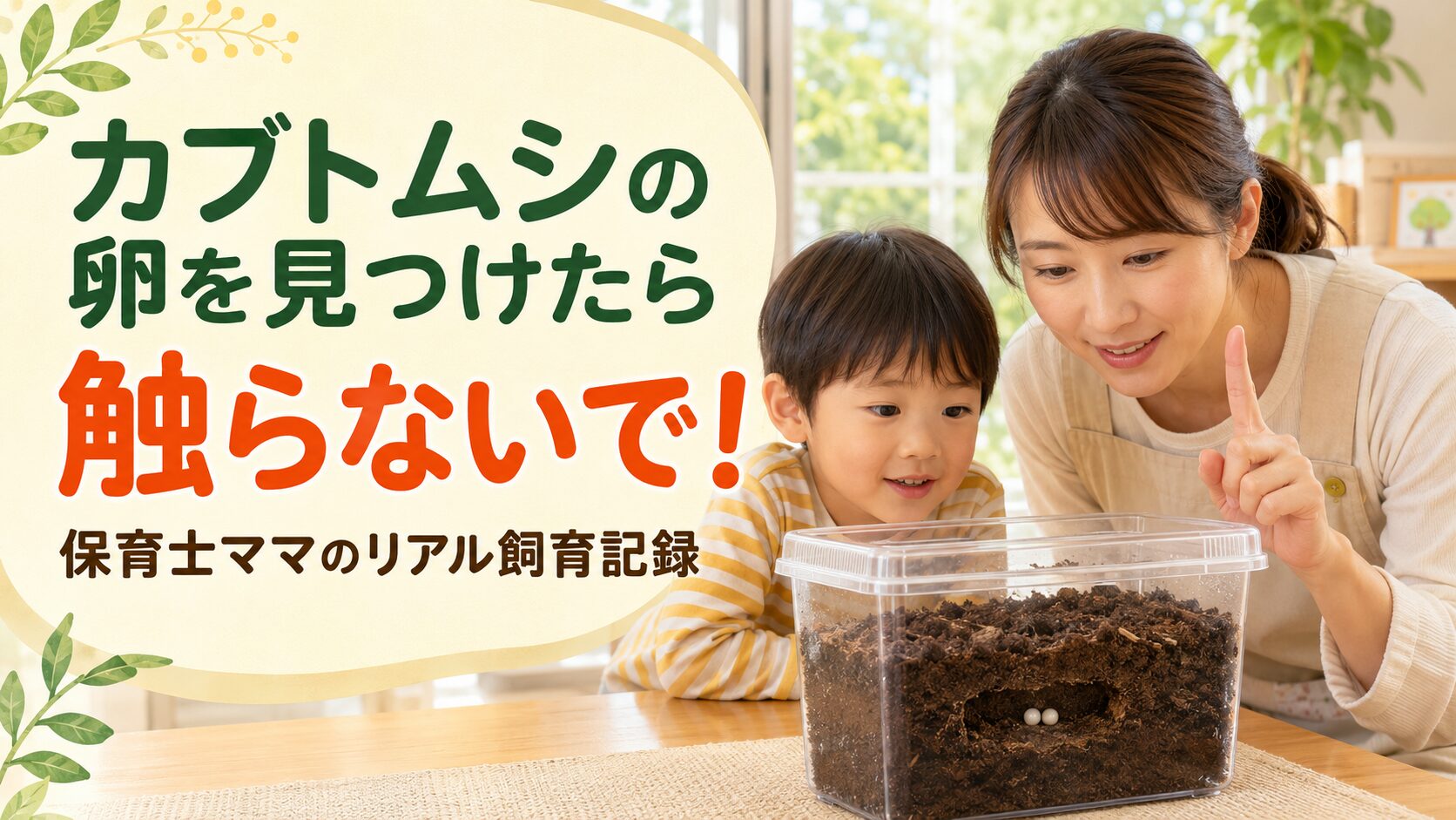 カブトムシの卵を見つけたら触らないで！保育士ママのリアル飼育記録